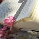 Termoli candidata a Capitale Italiana del Libro 2027: Jacovitti al centro del dossier