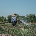 Termoli, nuove aree verdi BioForest: “Non saranno parchi pubblici tradizionali”