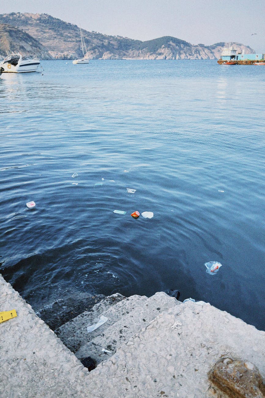 Termoli, raccolti 325 chili di rifiuti con il progetto Cleaning Land2Sea