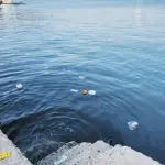 Termoli, raccolti 325 chili di rifiuti con il progetto Cleaning Land2Sea