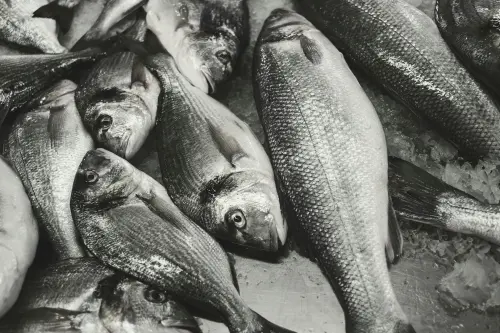 Termoli, avviso per organizzare la Sagra del Pesce 2026: candidature entro il 18 giugno