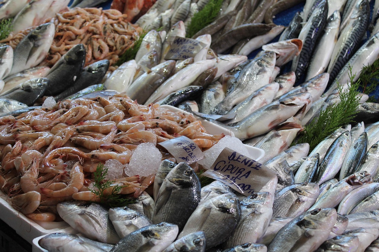 Dal porto all’asta del pesce: studenti in visita al Mercato ittico di Termoli