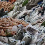 Dal porto all’asta del pesce: studenti in visita al Mercato ittico di Termoli