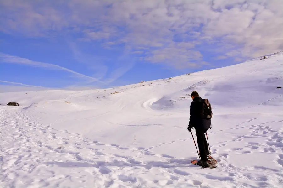 Ciaspolata a Forca d’Acero: escursione tra neve e faggete nel Parco Nazionale d’Abruzzo