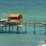 Termoli e Isole Tremiti: come organizzare un’escursione in giornata